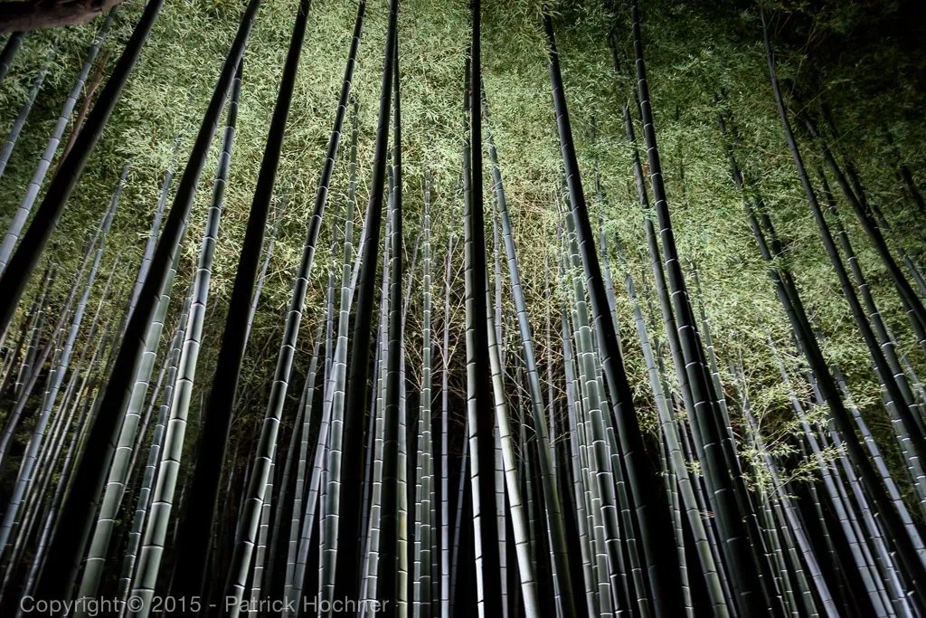 🏯 쇼렌인 (Shōren-in) 이미지 7